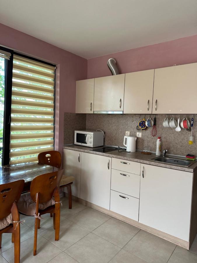 U-Dacha Lägenhet Slăntjev Brjag Exteriör bild